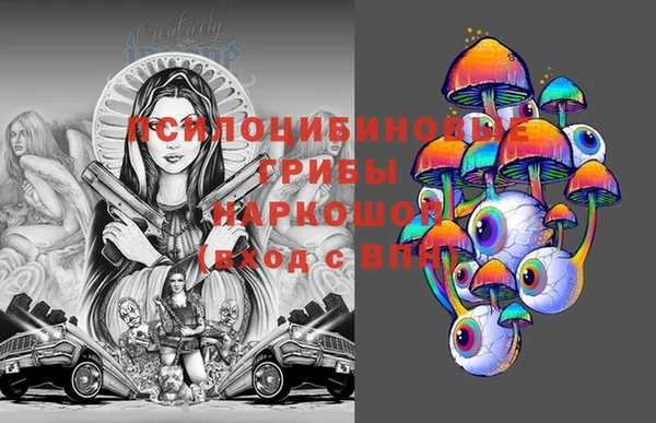 прущие грибы Краснослободск