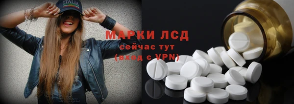 прущие грибы Краснослободск