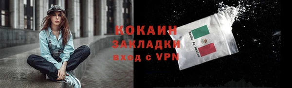 прущие грибы Краснослободск